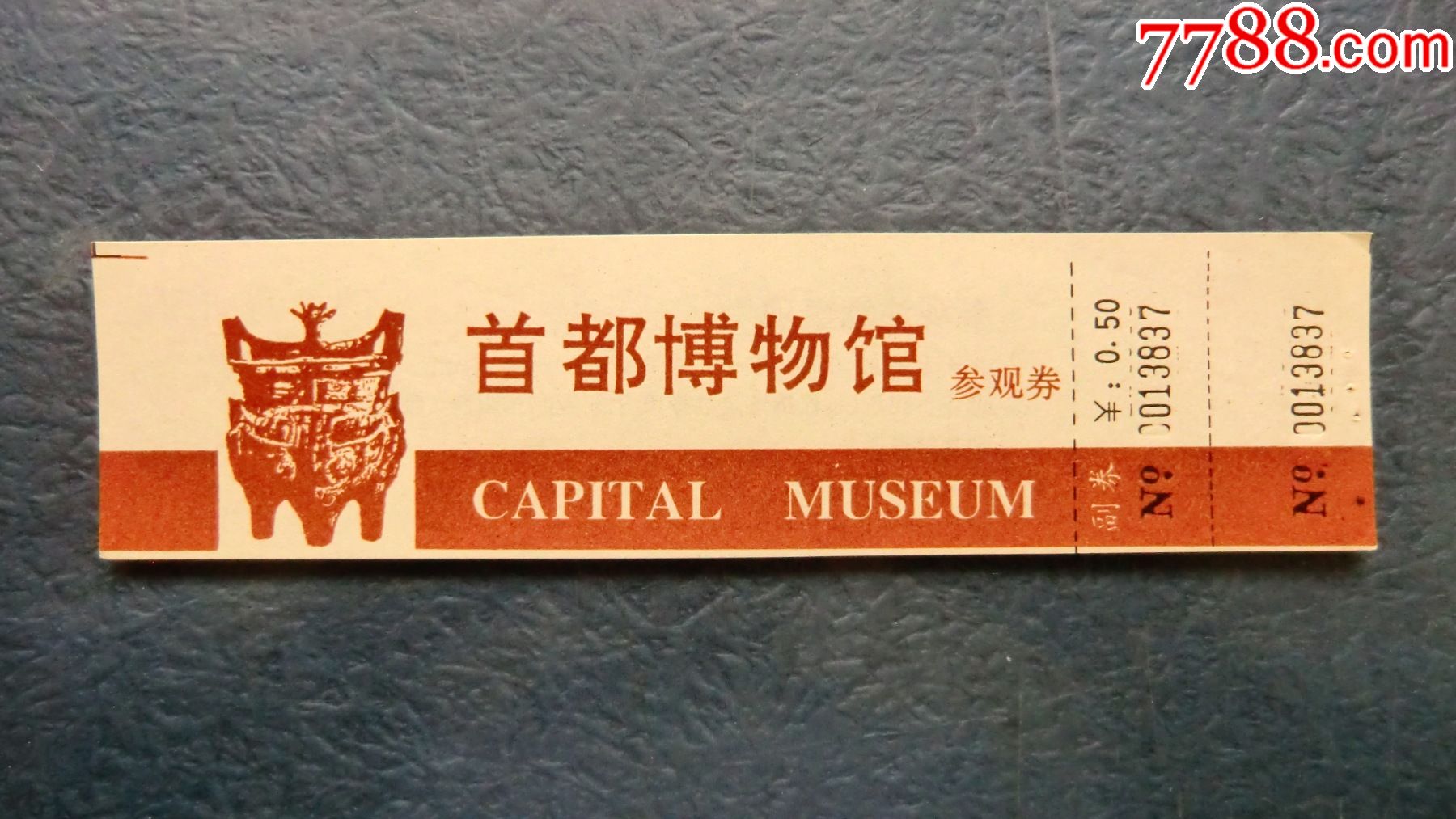 11416806.jpg
