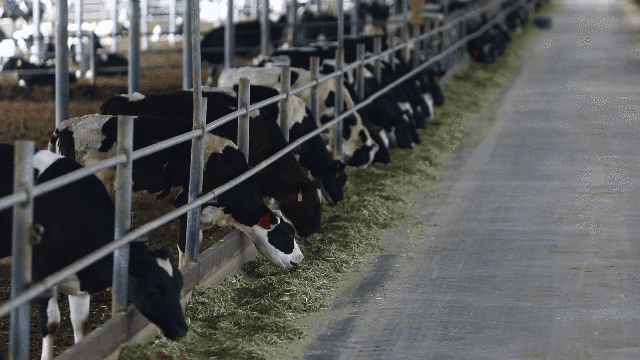 图片6.png 图片6.png