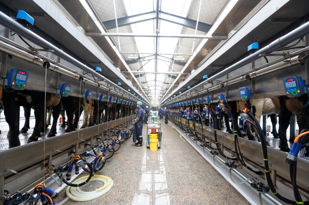 图片9.png 图片9.png