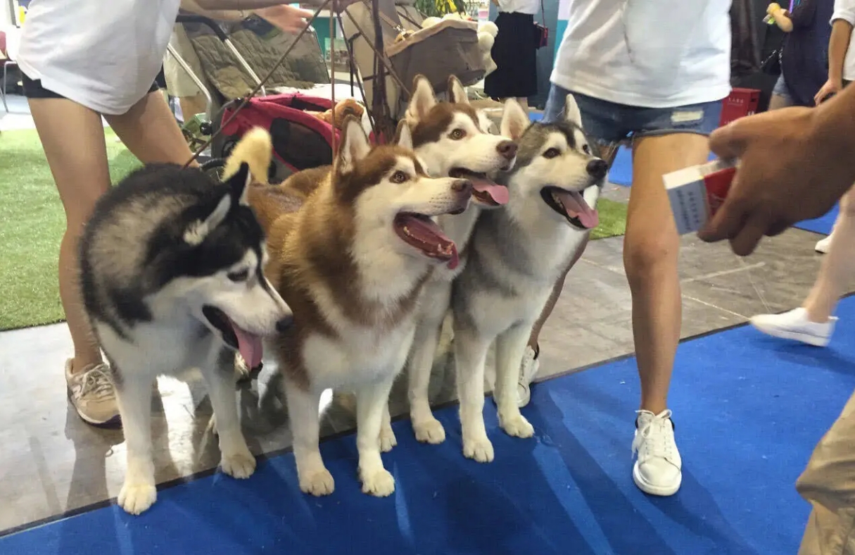 微信截图_20240808172637.png 微信截图_20240808172637.png