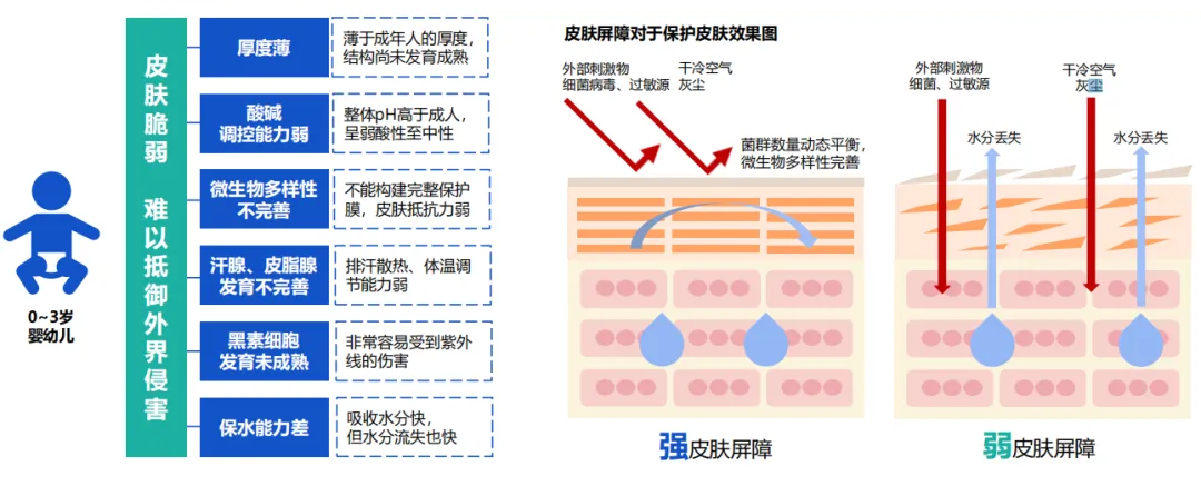 1722496470333.jpg 1722496470333.jpg