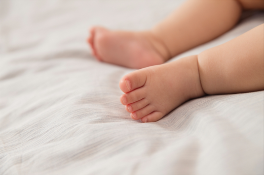 1723509993859.jpg 1723509993859.jpg